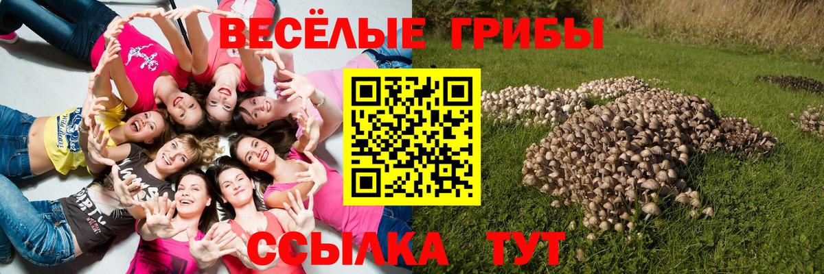 Псилоцибиновые грибы Magic Shrooms  Вход с VPN  Димитровград  Галлюциногенные грибы Cubensis 