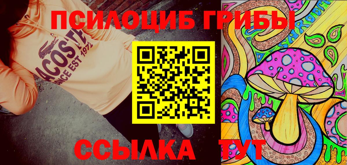 Галлюциногенные грибы мухоморы Димитровград